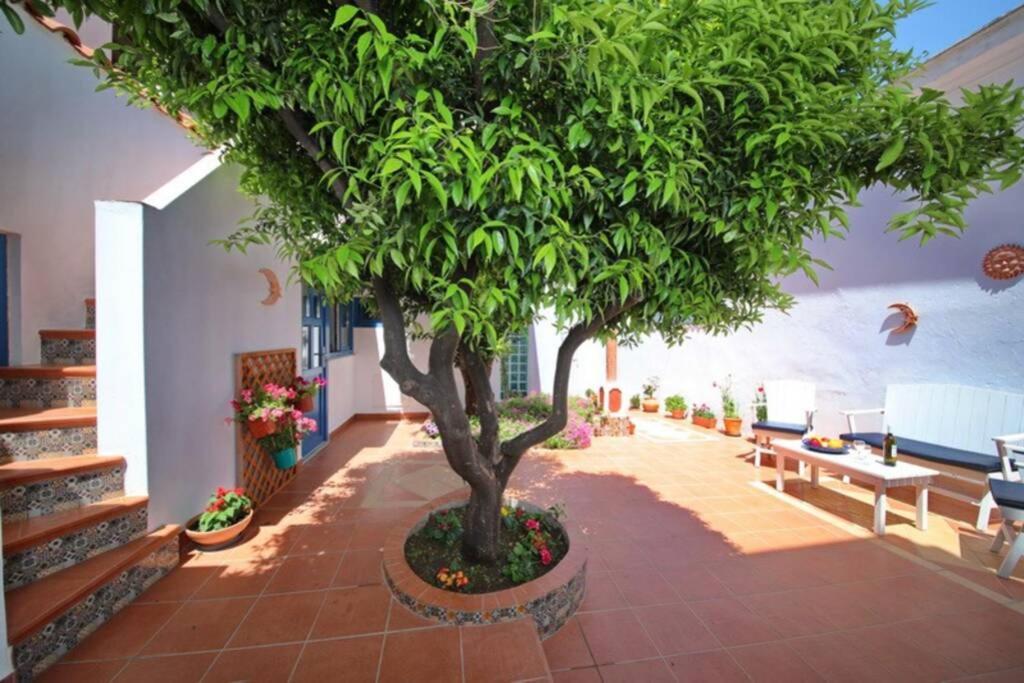 Philoxenia Guest House Skopelos Buitenkant foto