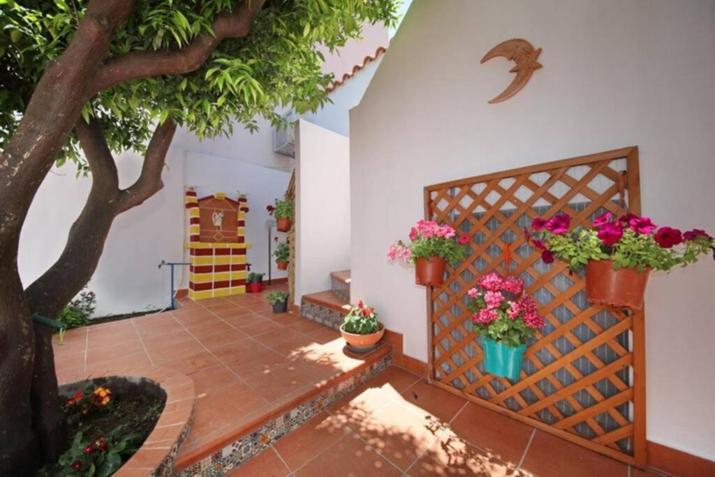 Philoxenia Guest House Skopelos Buitenkant foto